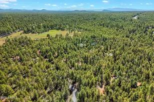 1438 Hill Dr, Pinetop, AZ 85935 - Photo 42