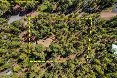 1438 Hill Drive, Pinetop, AZ 85935 - Photo 44