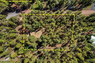 1438 Hill Dr, Pinetop, AZ 85935 - Photo 44