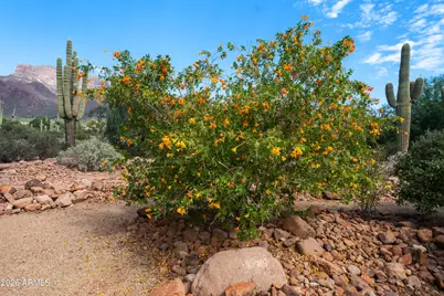 1135 S Broadway Lane, Gold Canyon, AZ 85119 - Photo 88