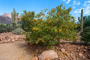 1135 S Broadway Ln, Gold Canyon, AZ 85119 - Photo 88