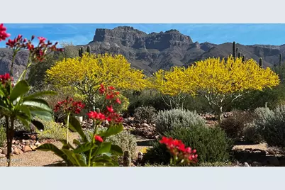 1135 S Broadway Lane, Gold Canyon, AZ 85119 - Photo 8