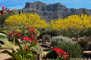 1135 S Broadway Ln, Gold Canyon, AZ 85119 - Photo 8