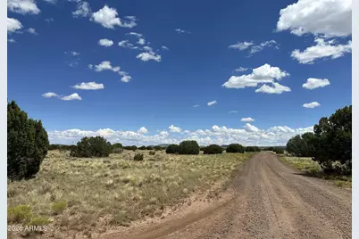 47 County Rd N3110 -- #-, Vernon, AZ 85940 - Photo 18