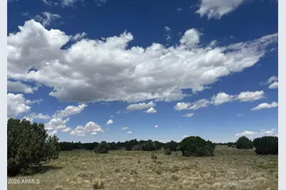 47 County Rd N3110 -- #-, Vernon, AZ 85940 - Photo 16