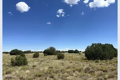 53 County Rd N3110 -- #-, Vernon, AZ 85940 - Photo 12