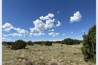 59 County Rd N3110 -- #-, Vernon, AZ 85940 - Photo 10