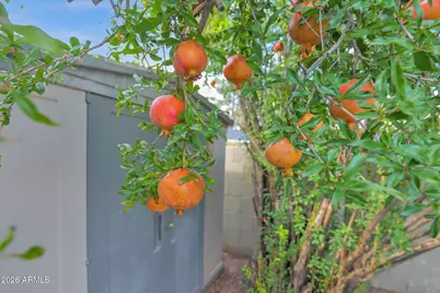 4826 E Fairmount Avenue, Phoenix, AZ 85018 - Photo 26
