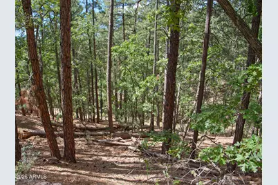 015&016 S Ponderosa Drive #15, Prescott, AZ 86303 - Photo 10