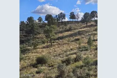 003 Blue Sky -- #1C, Peeples Valley, AZ 86332 - Photo 8