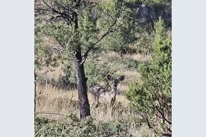 003 Blue Sky -- #1C, Peeples Valley, AZ 86332 - Photo 2