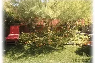 2250 E Deer Valley Rd, Phoenix, AZ 85024 - Photo 8
