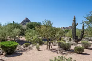 26866 N 104th Way, Scottsdale, AZ 85262 - Photo 30