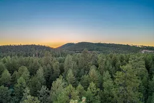 194 E Blue Jay Cir, Payson, AZ 85541 - Photo 74