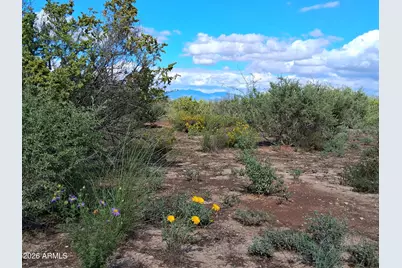 Tbd N Cottontail Lane #1, Cochise, AZ 85606 - Photo 16