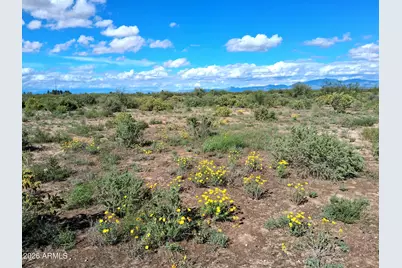 Tbd N Cottontail Lane #1, Cochise, AZ 85606 - Photo 10