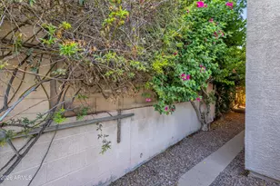 25634 N Singbush Loop, Phoenix, AZ 85083 - Photo 46