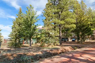 535 Lots a Luck Ln, Mormon Lake, AZ 86038 - Photo 52