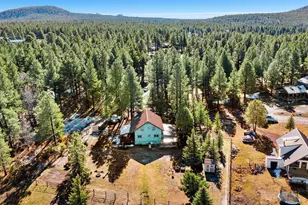 535 Lots a Luck Ln, Mormon Lake, AZ 86038 - Photo 28