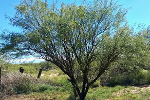 1744 N Quarter Horse Rd, Cochise, AZ 85606 - Photo 28