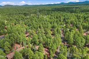 2594 Mustang Cir, Pinetop, AZ 85935 - Photo 32