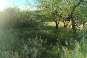 543 Camino Ramanote, Rio Rico, AZ 85648 - Photo 6