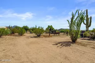 2141 N Plaza Dr, Apache Junction, AZ 85120 - Photo 42