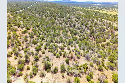 135 E Hualpai Trail #429, Williams, AZ 86046 - Photo 8