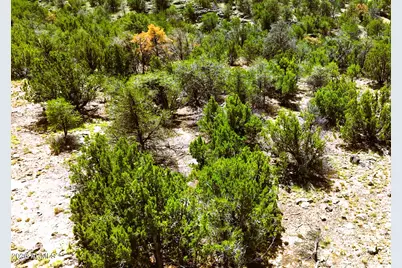 135 E Hualpai Trail #429, Williams, AZ 86046 - Photo 12