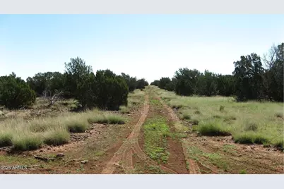 9331 Shady Oak Trail #-, Show Low, AZ 85901 - Photo 8