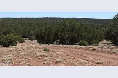 9331 Shady Oak Trail #-, Show Low, AZ 85901 - Photo 10