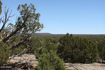 9331 Shady Oak Trail #-, Show Low, AZ 85901 - Photo 12