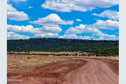 85 Co Rd 8500 40 Acres -- #-, Concho, AZ 85924 - Photo 6