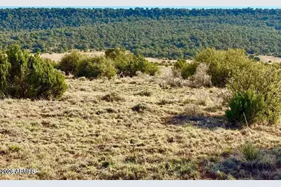 85 Co Rd 8500 40 Acres -- #-, Concho, AZ 85924 - Photo 4