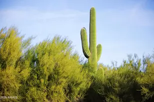 5223 E Calle De Las Estrellas --, Cave Creek, AZ 85331 - Photo 10