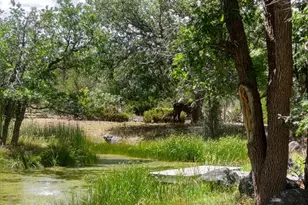 [Address not provided], Pinedale, AZ 85934 - Photo 10