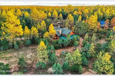 2790 Pine Rim Road, Overgaard, AZ 85933 - Photo 46