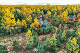 2790 Pine Rim Rd, Overgaard, AZ 85933 - Photo 46