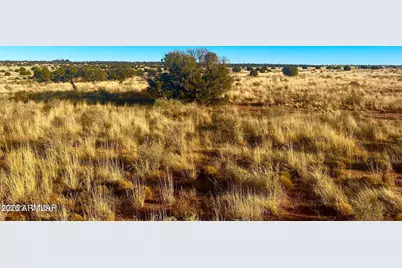 9747 Willis Hill Trl 40 Acres -- #-, Snowflake, AZ 85937 - Photo 12