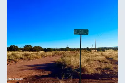 9747 Willis Hill Trl 40 Acres -- #-, Snowflake, AZ 85937 - Photo 16