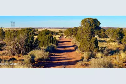 9747 Willis Hill Trl 40 Acres -- #-, Snowflake, AZ 85937 - Photo 8