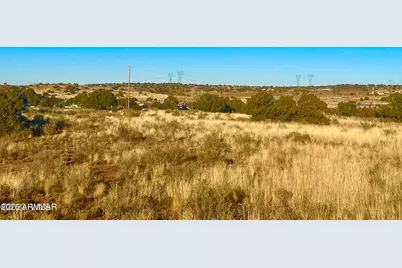 9747 Willis Hill Trl 40 Acres -- #-, Snowflake, AZ 85937 - Photo 10