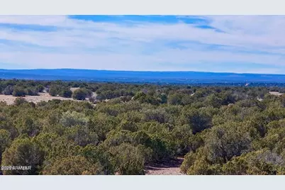 9023 Appaloosa Trl (Lot A) 5 Acres -- #-, Show Low, AZ 85901 - Photo 16