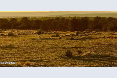 9023 Appaloosa Trl (Lot A) 5 Acres -- #-, Show Low, AZ 85901 - Photo 18