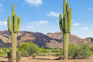685 S Holmes Rd, Apache Junction, AZ 85119 - Photo 40
