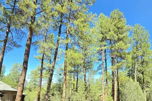 3638 N Whispering Pine Rd, Pine, AZ 85544 - Photo 28