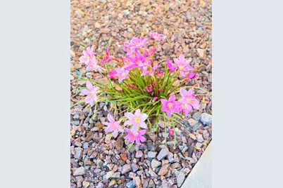 41925 N Long Cove Way, Anthem, AZ 85086 - Photo 4