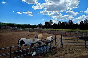 4848 Lake Mary Rd, Flagstaff, AZ 86005 - Photo 10