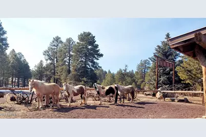 4848 Lake Mary Road, Flagstaff, AZ 86005 - Photo 18