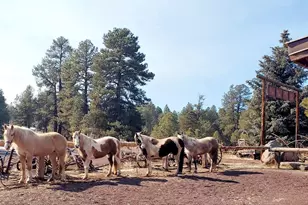 4848 Lake Mary Rd, Flagstaff, AZ 86005 - Photo 18